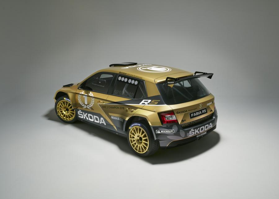  Skoda Fabia R5 (NJ) 2015 года  (фото 23 из 43)